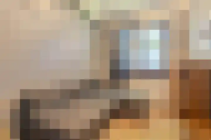 Arendsweg 11 Rotterdam thumbnail 13