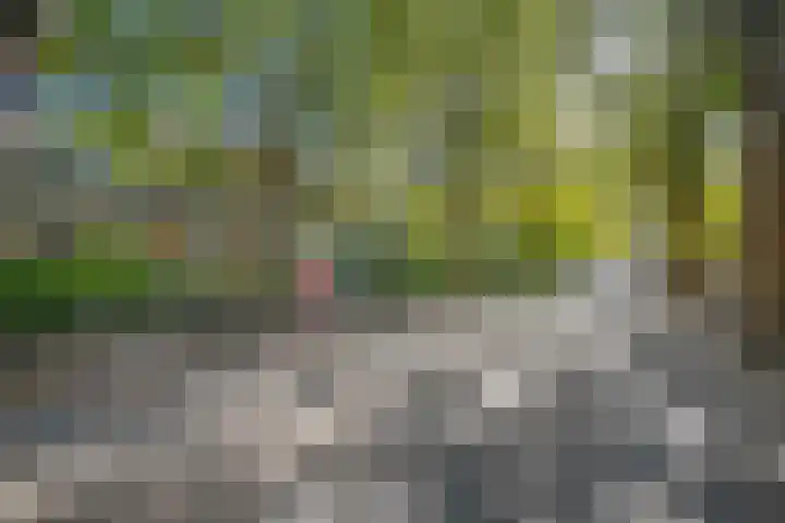 Arendsweg 11 Rotterdam thumbnail 20