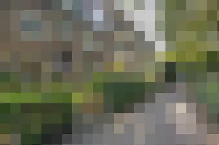 Arendsweg 11 Rotterdam thumbnail 5