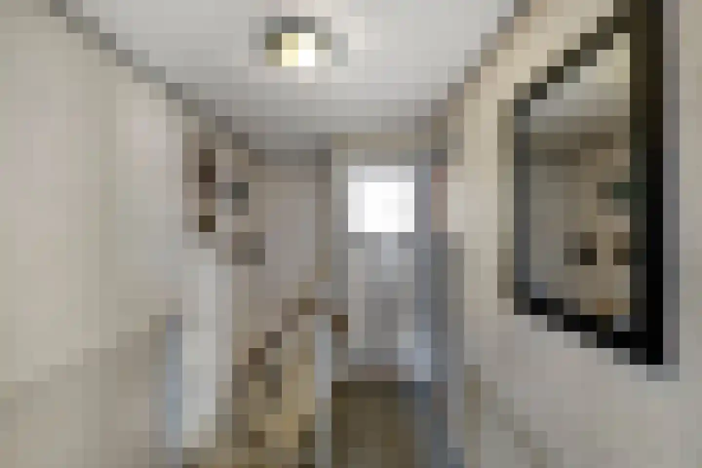 Arendsweg 125 Beverwijk thumbnail 26