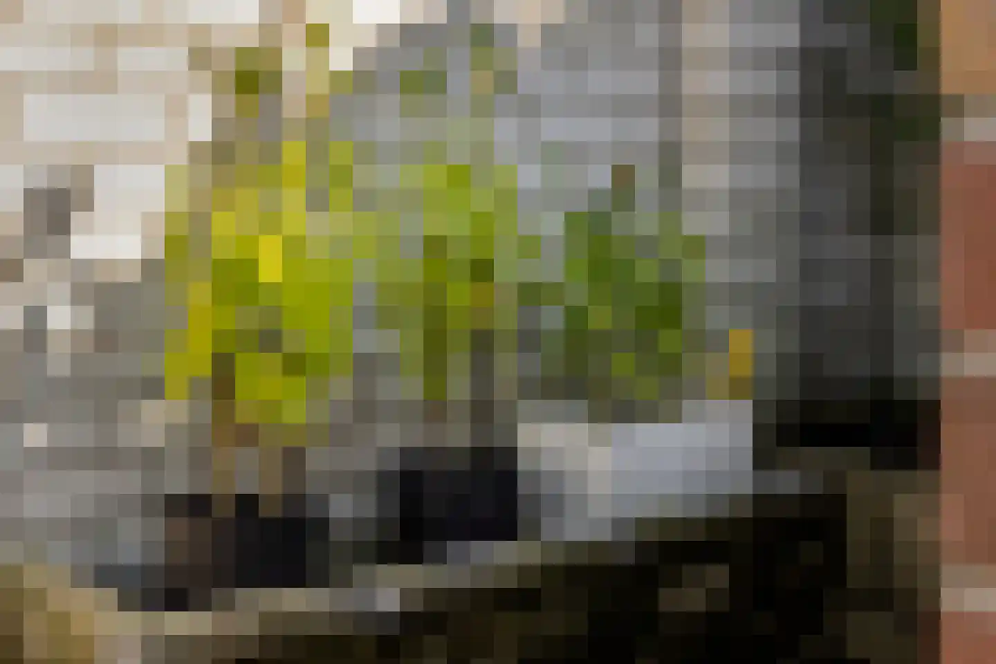 Arendsweg 125 Beverwijk thumbnail 34