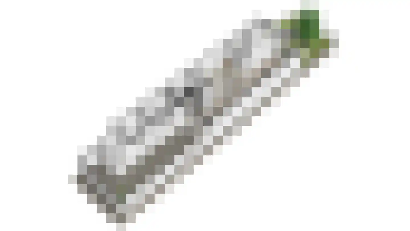 Arendsweg 125 Beverwijk thumbnail 41