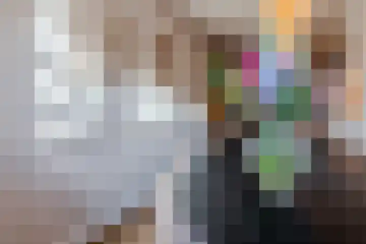 Arendsweg 127 Beverwijk thumbnail 15