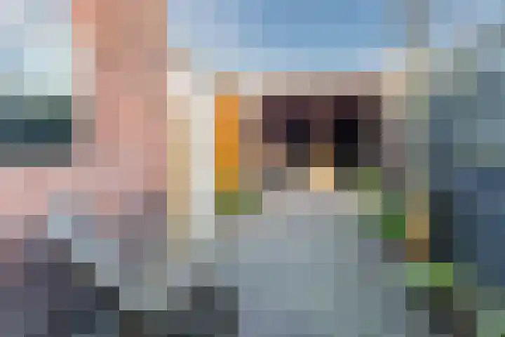 Arendsweg 127 Beverwijk thumbnail 16