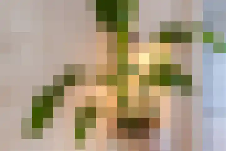 Arendsweg 127 Beverwijk thumbnail 22