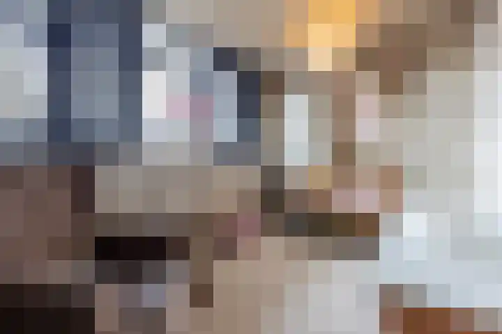 Arendsweg 127 Beverwijk thumbnail 28