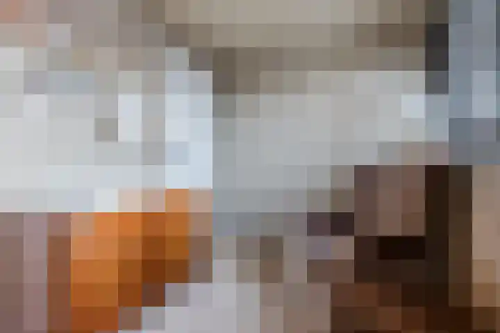 Arendsweg 127 Beverwijk thumbnail 30