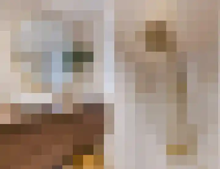 Arendsweg 127 Beverwijk thumbnail 32