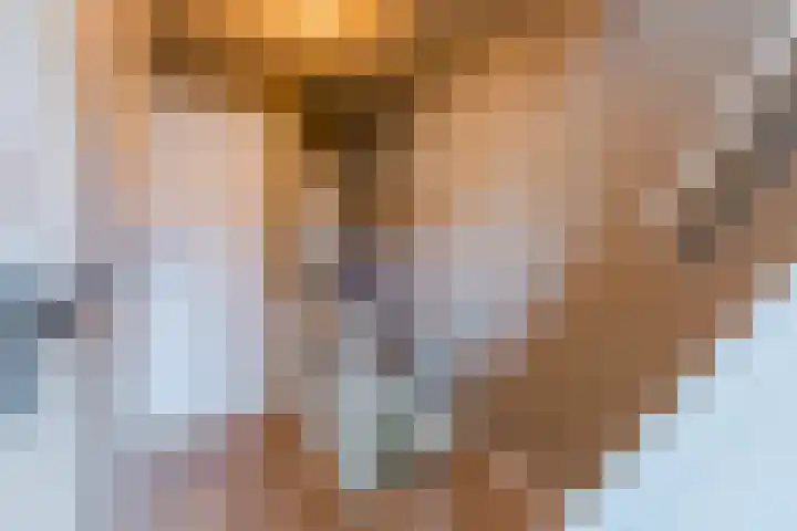 Arendsweg 127 Beverwijk thumbnail 33