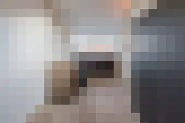 Arendsweg 127 Beverwijk thumbnail 37