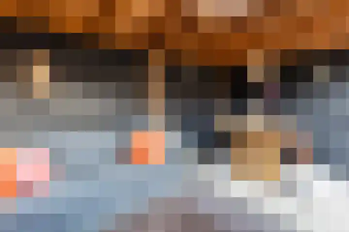 Arendsweg 127 Beverwijk thumbnail 40