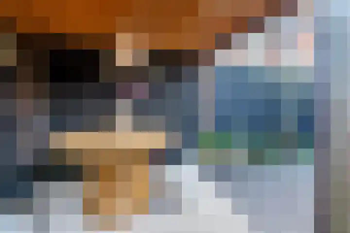 Arendsweg 127 Beverwijk thumbnail 41