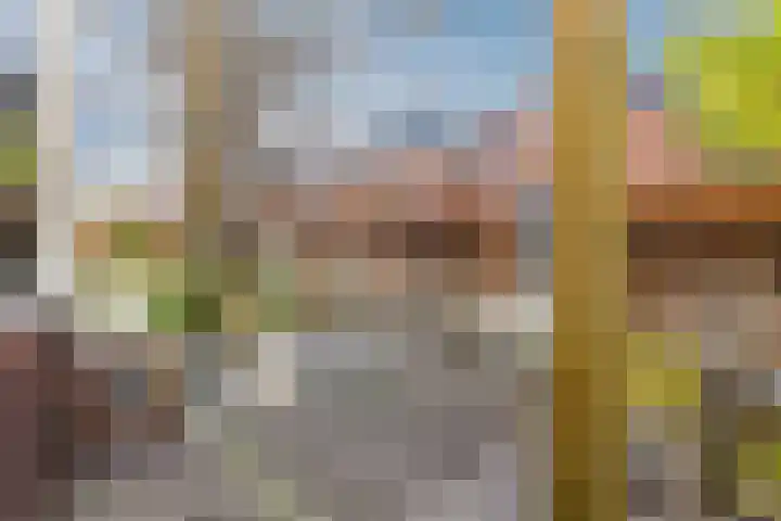 Arendsweg 127 Beverwijk thumbnail 52