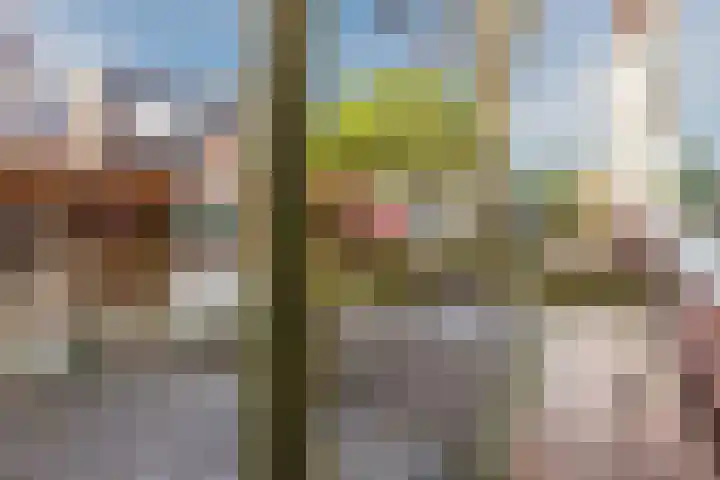 Arendsweg 127 Beverwijk thumbnail 53