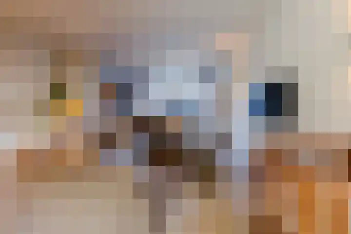 Arendsweg 127 Beverwijk thumbnail 6