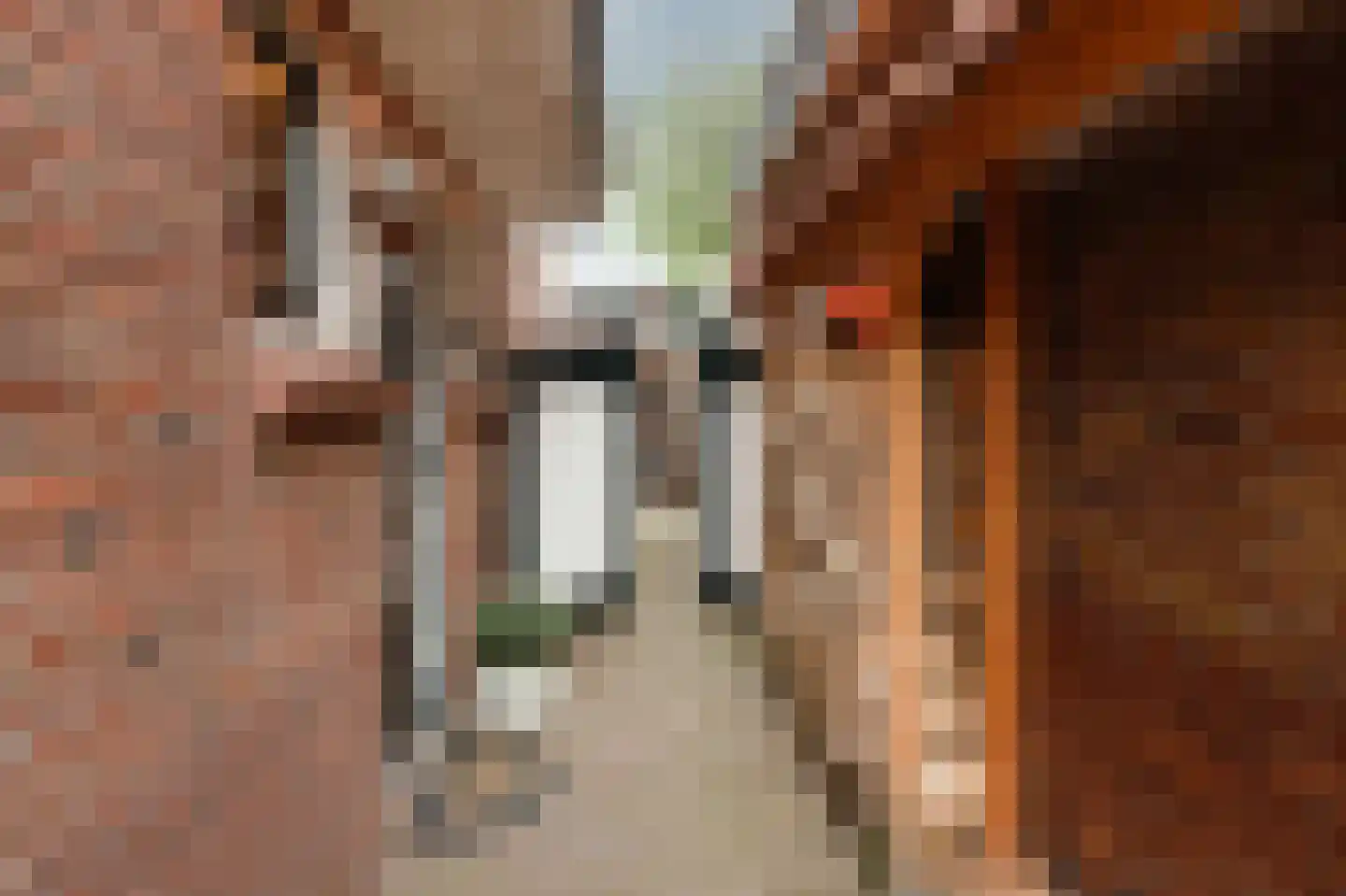 Arendsweg 163 Beverwijk thumbnail 24