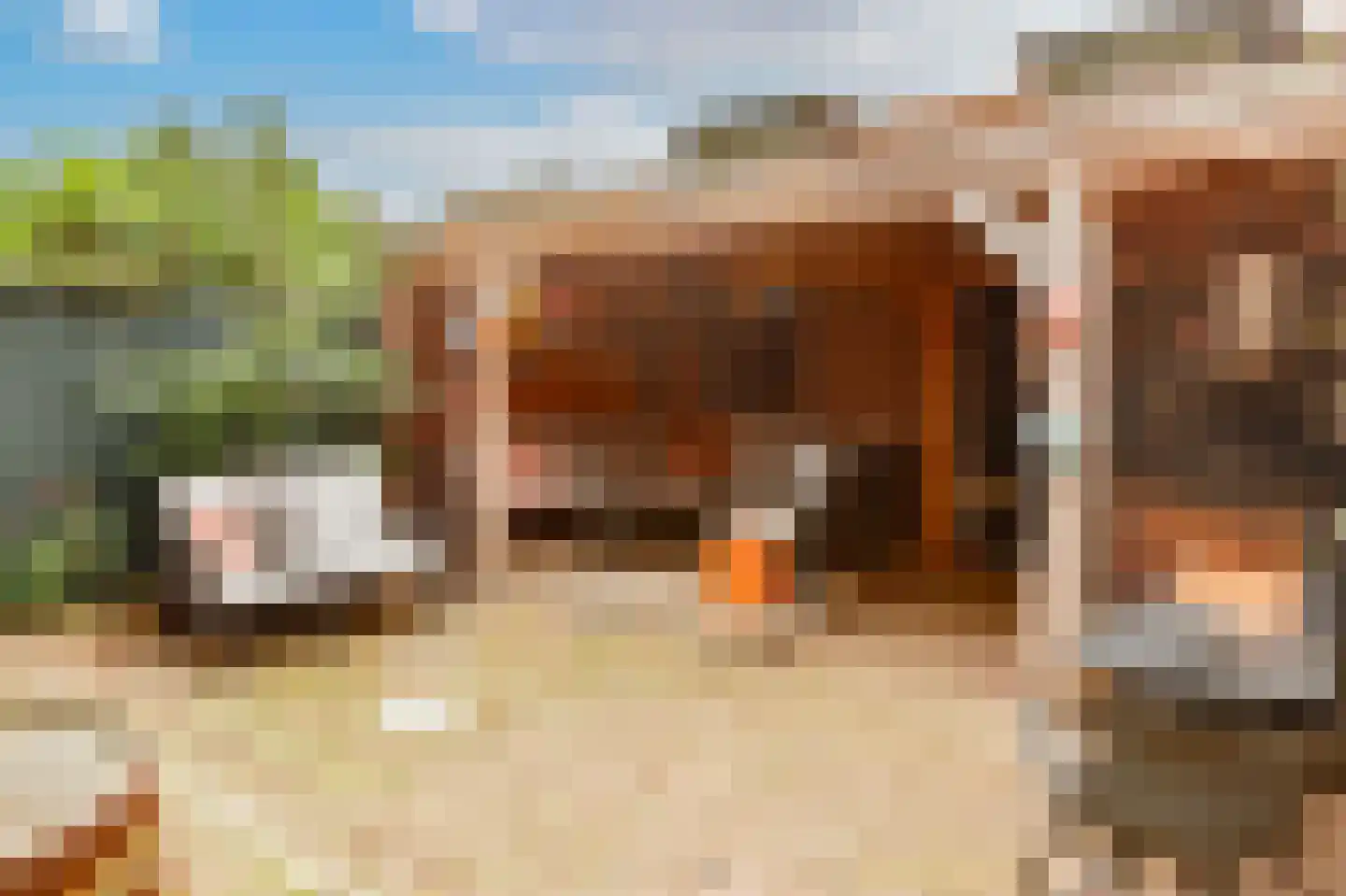 Arendsweg 163 Beverwijk thumbnail 26