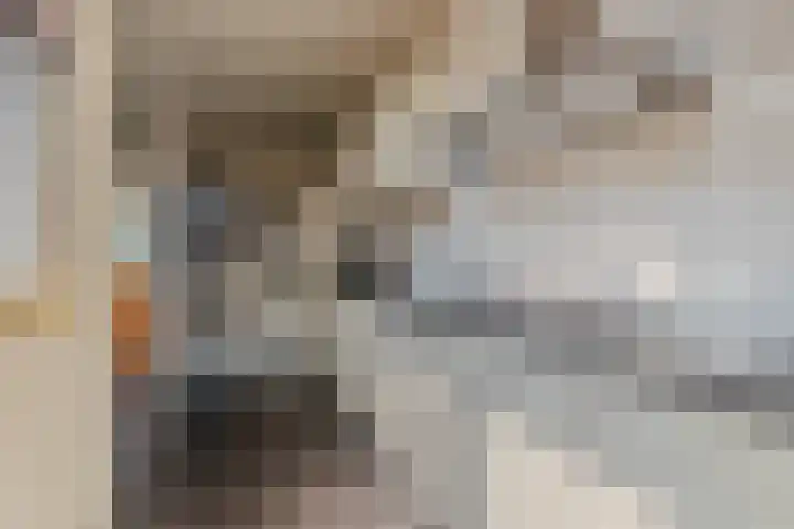 Arendsweg 177 Beverwijk thumbnail 12