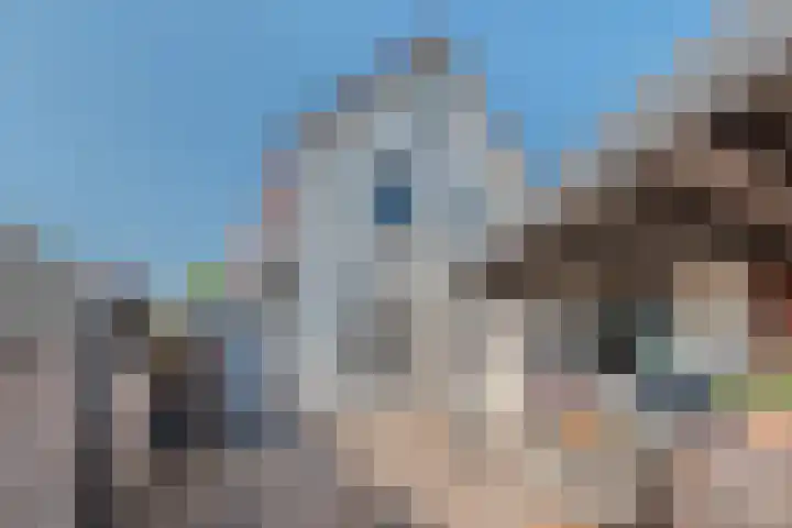Arendsweg 177 Beverwijk thumbnail 17
