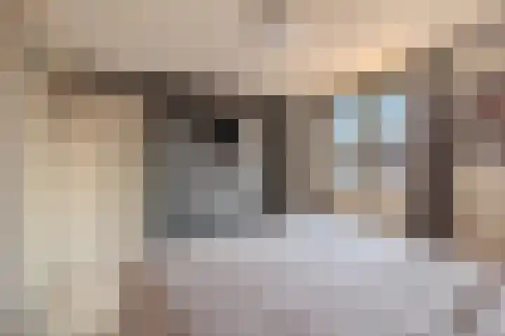 Arendsweg 177 Beverwijk thumbnail 20