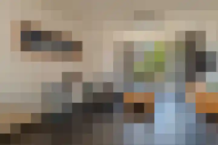Arendsweg 177 Beverwijk thumbnail 5