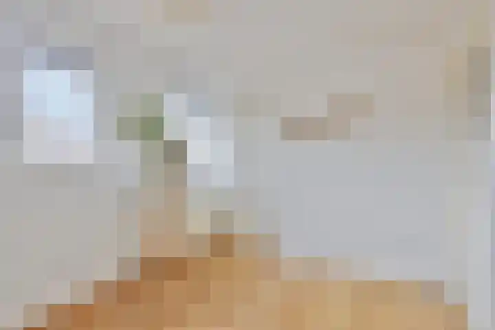 Arendsweg 200 Beverwijk thumbnail 24