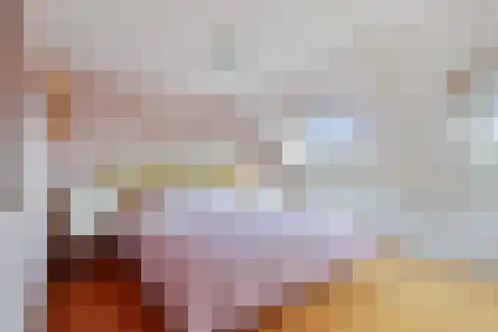 Arendsweg 200 Beverwijk thumbnail 28