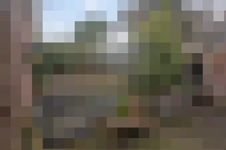 Arendsweg 200 Beverwijk thumbnail 31