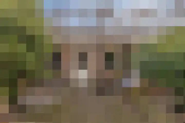 Arendsweg 200 Beverwijk thumbnail 32