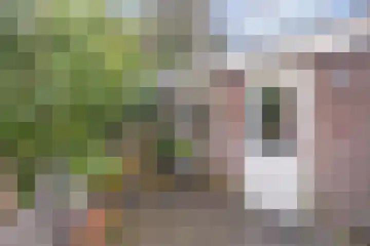 Arendsweg 200 Beverwijk thumbnail 33