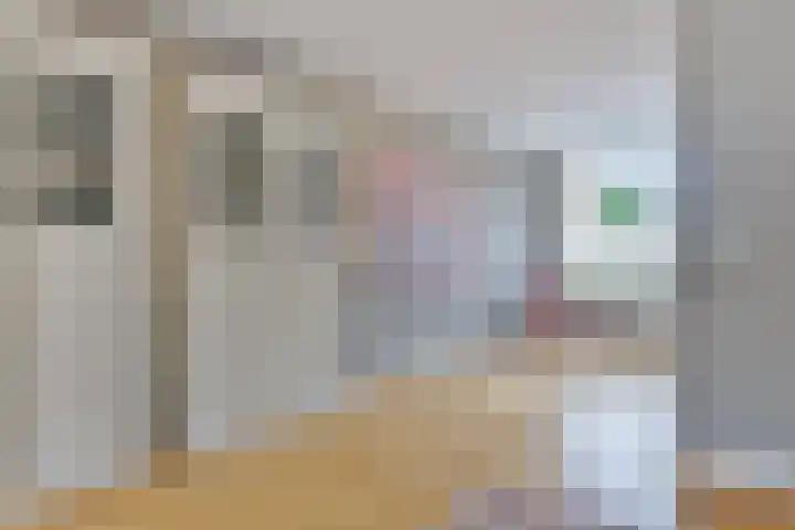 Arendsweg 200 Beverwijk thumbnail 6