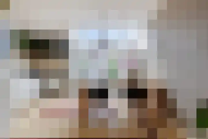 Arendsweg 200 Beverwijk thumbnail 7