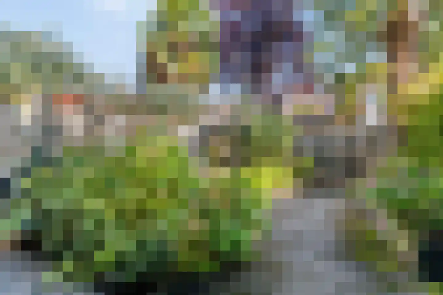 Arendsweg 22 Alkmaar thumbnail 14