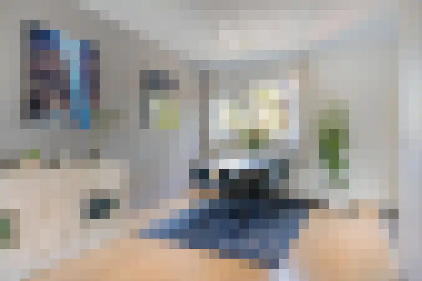 Arendsweg 22 Alkmaar thumbnail 25