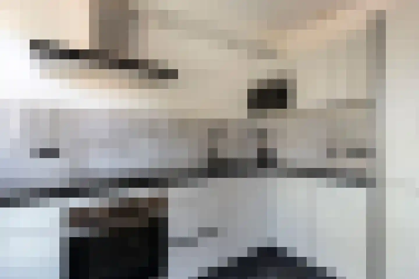 Arendsweg 22 Alkmaar thumbnail 26