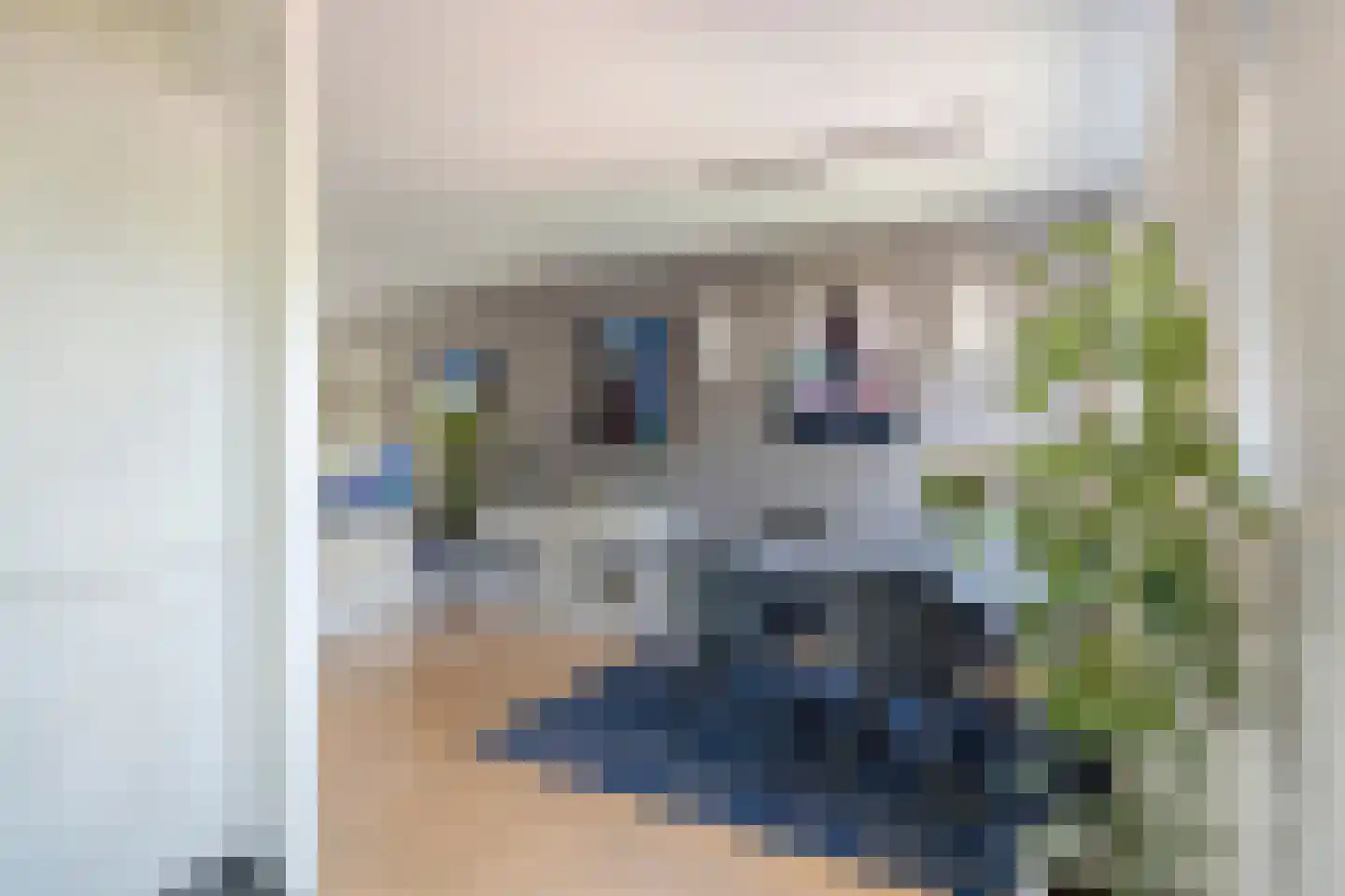 Arendsweg 22 Alkmaar thumbnail 30