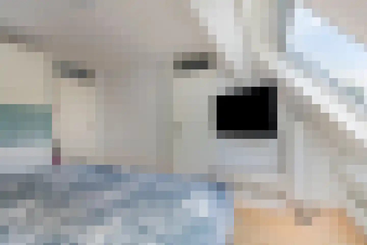 Arendsweg 22 Alkmaar thumbnail 33