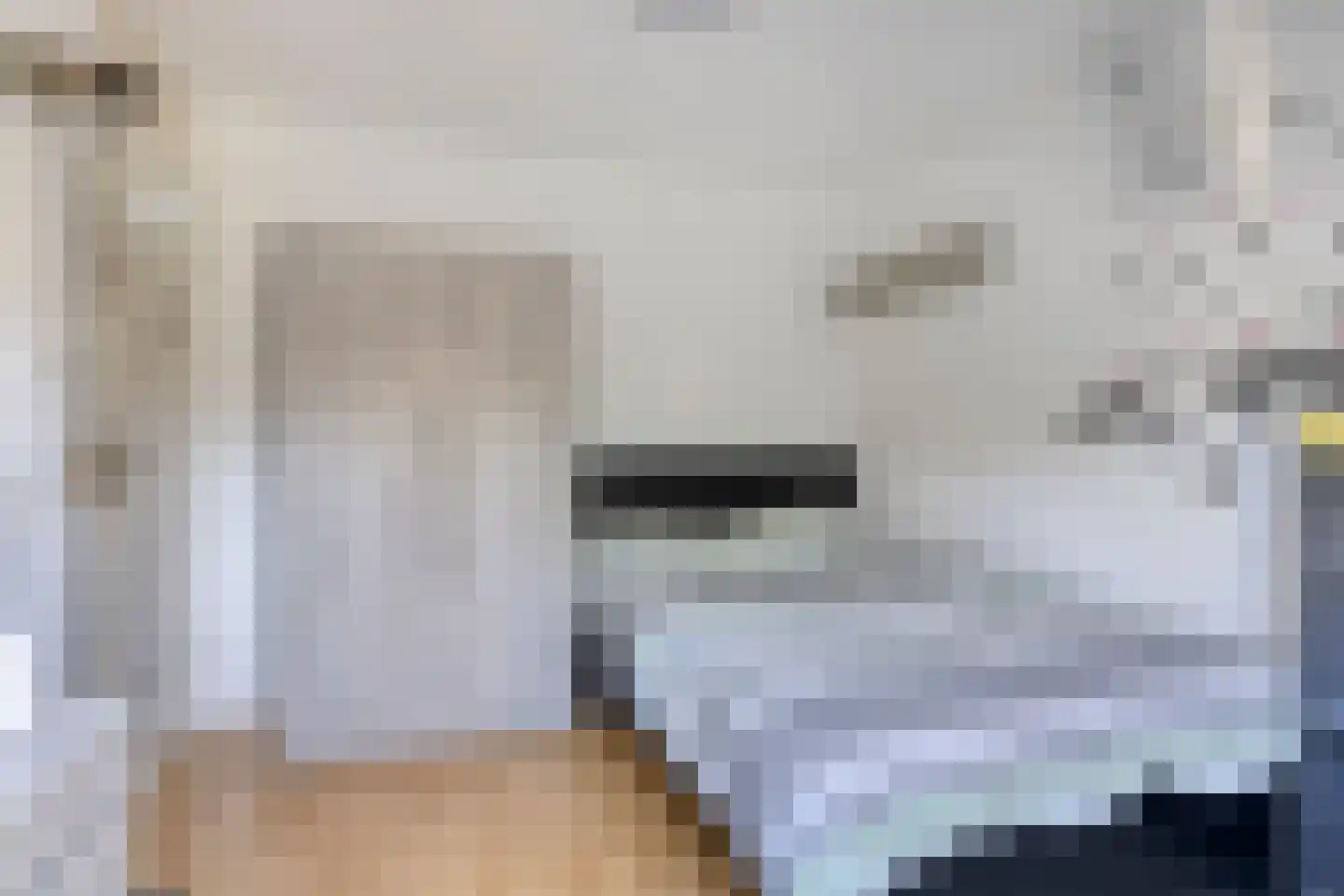 Arendsweg 22 Alkmaar thumbnail 39