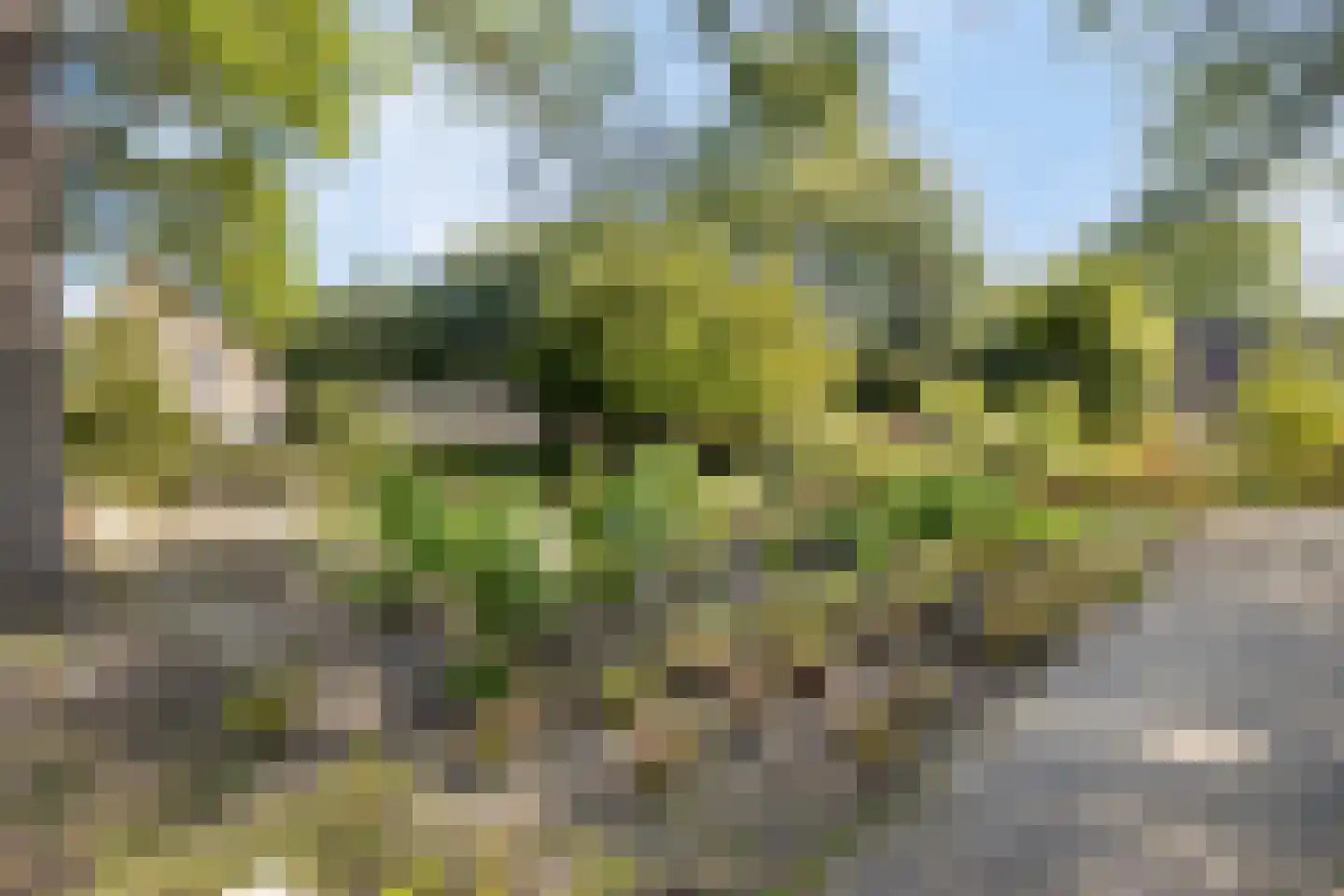 Arendsweg 22 Alkmaar thumbnail 47