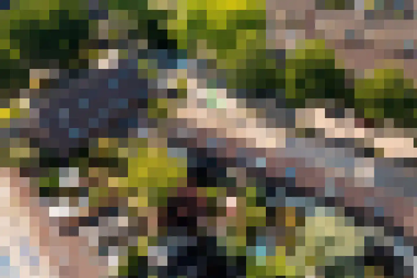 Arendsweg 22 Alkmaar thumbnail 5
