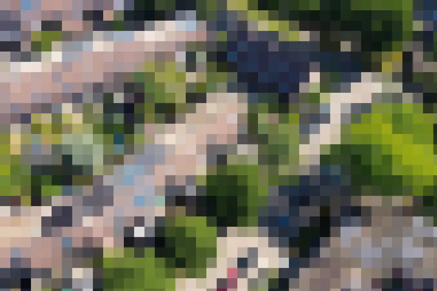 Arendsweg 22 Alkmaar thumbnail 6