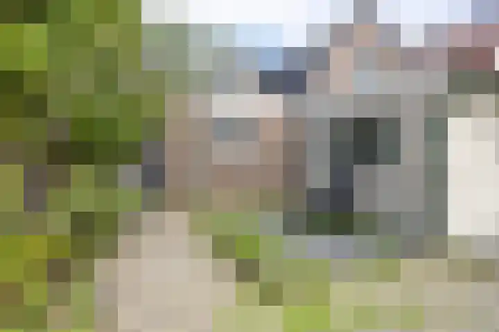 Arendsweg 32 Beverwijk thumbnail 31