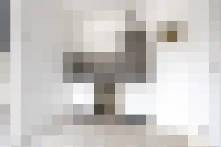 Arendsweg 34 Beverwijk thumbnail 34