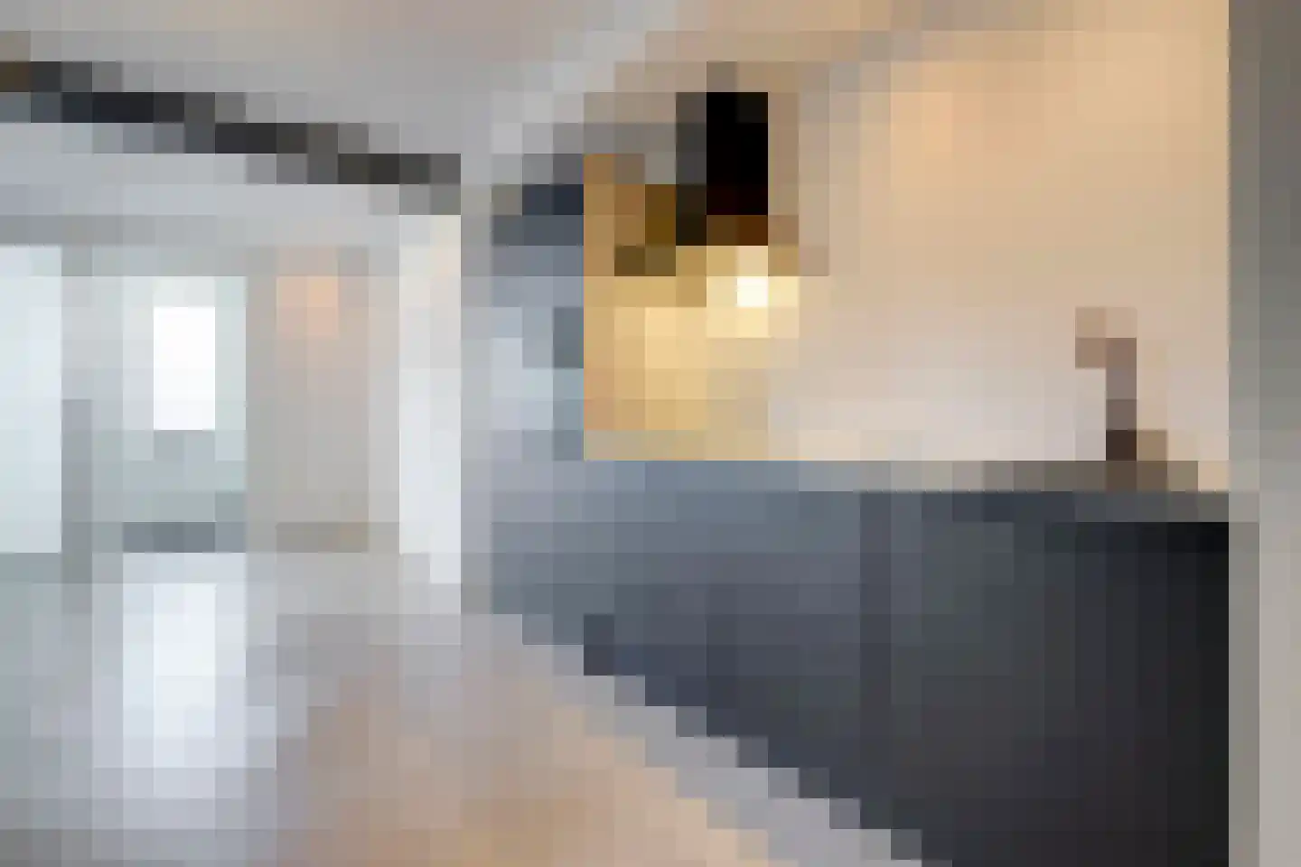 Arendsweg 44 A Beverwijk thumbnail 7