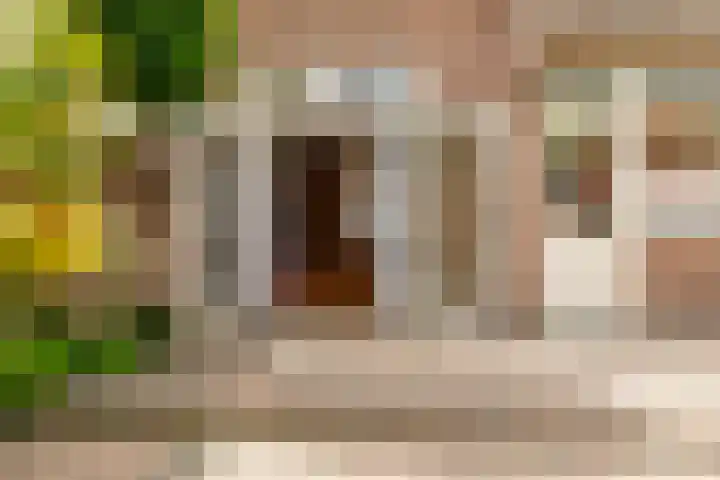 Arendsweg 63 Beverwijk thumbnail 26