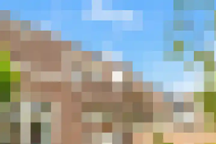 Arendsweg 63 Beverwijk thumbnail 27