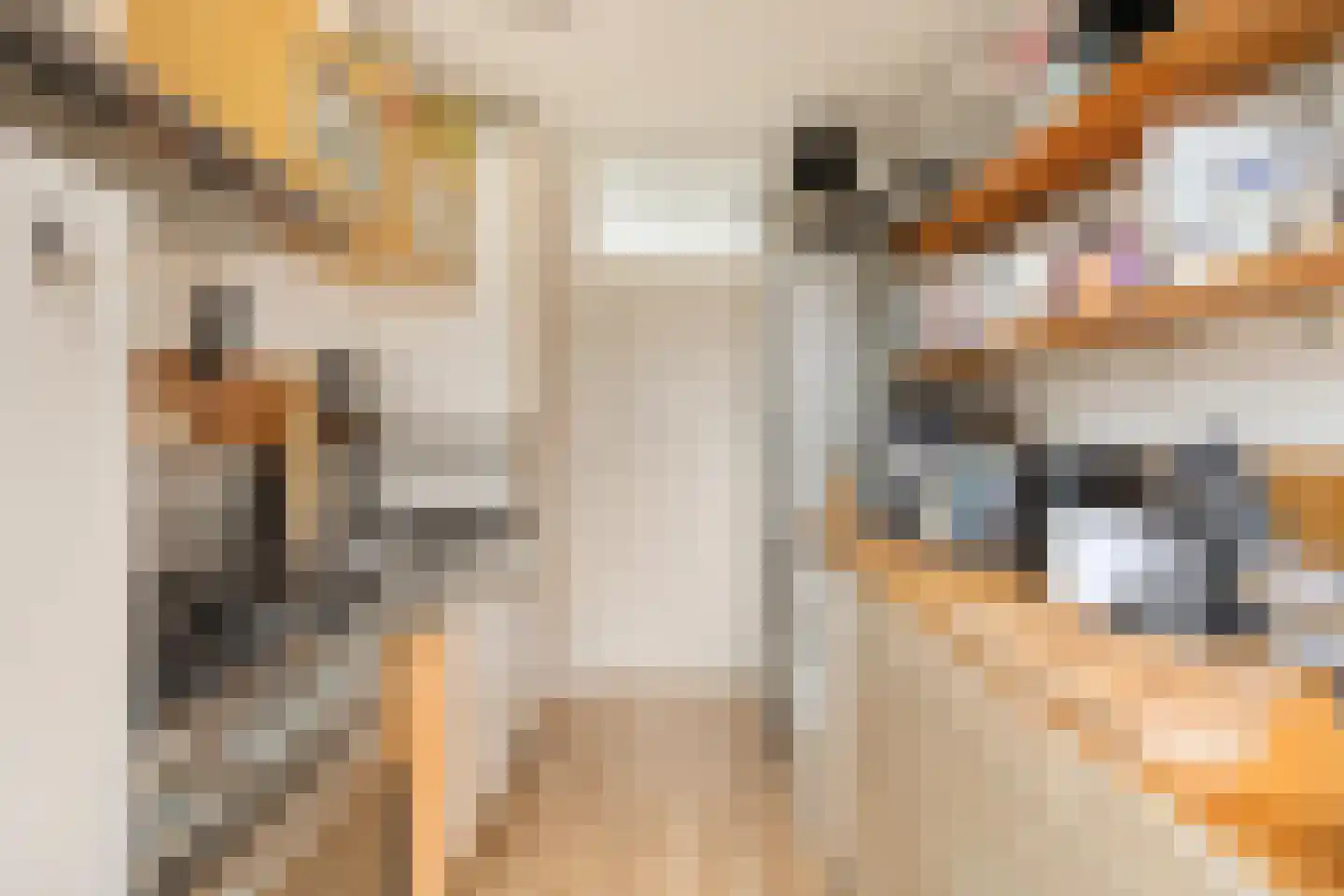 Arendsweg 67 Alkmaar thumbnail 13