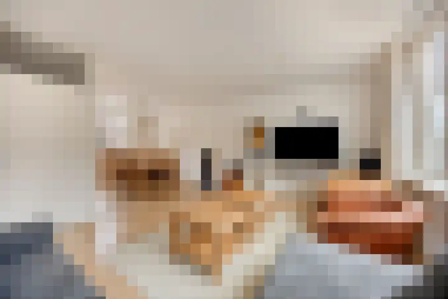 Arendsweg 67 Alkmaar thumbnail 9