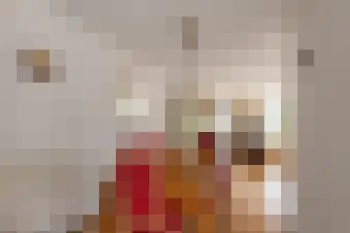 Arendsweg 68 Alkmaar thumbnail 12