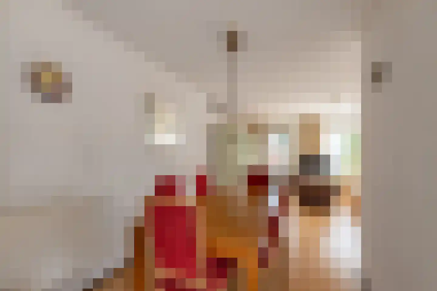 Arendsweg 68 Alkmaar thumbnail 12